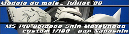Juillet '08 - MS-14B Gelgoog Shin Matsunaga custom 1/100 par Nabeshin