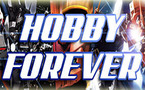 L'actu d'Hobby Forever : petit lifting et nouvelles sections
