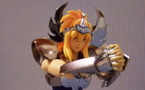 Myth cloth - Cygne V1