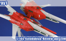Rgray-1 1/144 - Review