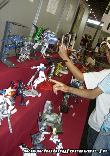 Une partie de l'exposition de maquette Une partie de l'exposition de maquette
