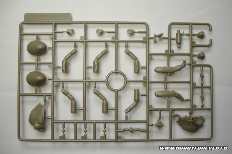 La grappe B La grappe B