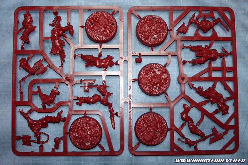 La grappe des 5 guerriers Bloodreavers La grappe des 5 guerriers Bloodreavers