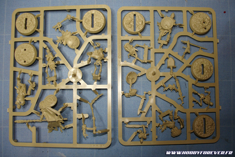 Grappes de la Garde Sépulcrale Grappes de la Garde Sépulcrale