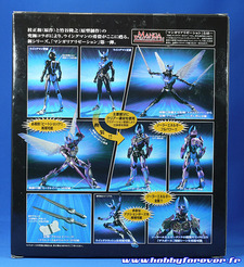 Arrière de la boite Arrière de la boite