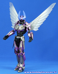 Les ailes sont biensûr de la partie à aussi Les ailes sont biensûr de la partie à aussi