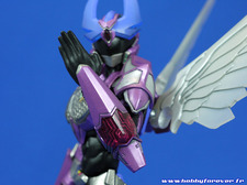 Admirez le souci du détail sur les avant-bras Admirez le souci du détail sur les avant-bras