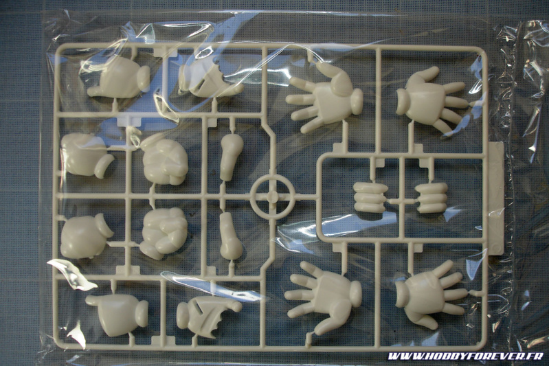 Grappe C avec les 3 paires de mains : ouvertes, fermées et tenant les pistolets Grappe C avec les 3 paires de mains : ouvertes, fermées et tenant les pistolets