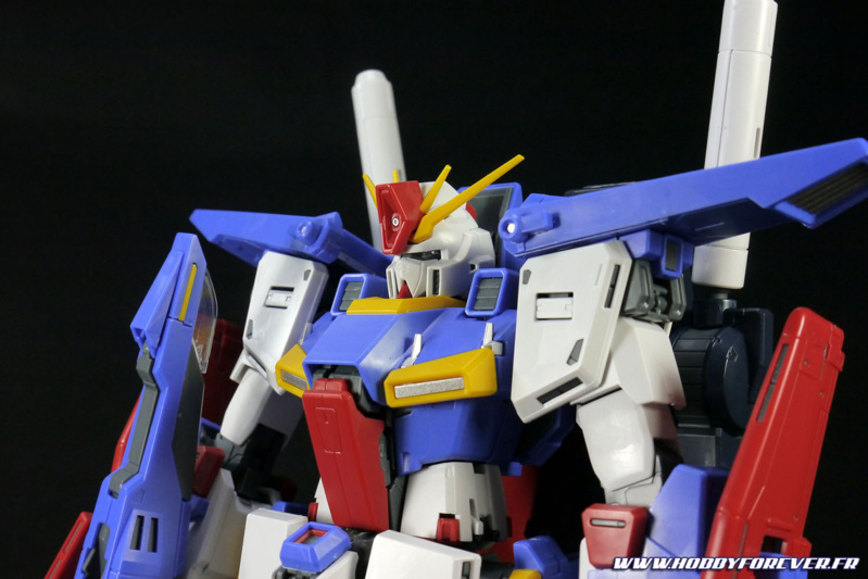 Belle tête malgré un V-Fin capricieux Belle tête malgré un V-Fin capricieux