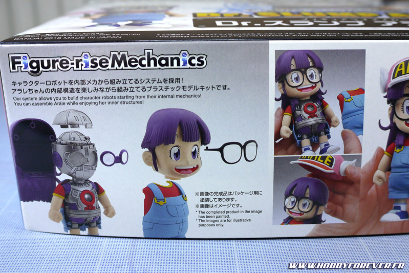 On peut aussi choisir de la présenter en "écorchée" (la pauvre !) On peut aussi choisir de la présenter en "écorchée" (la pauvre !)