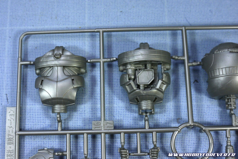 Le squelette est vraiment bien détaillé Le squelette est vraiment bien détaillé