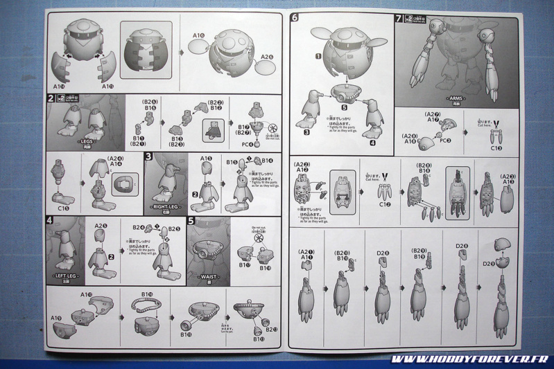 Review - HG Momokapool Review - HG Momokapool