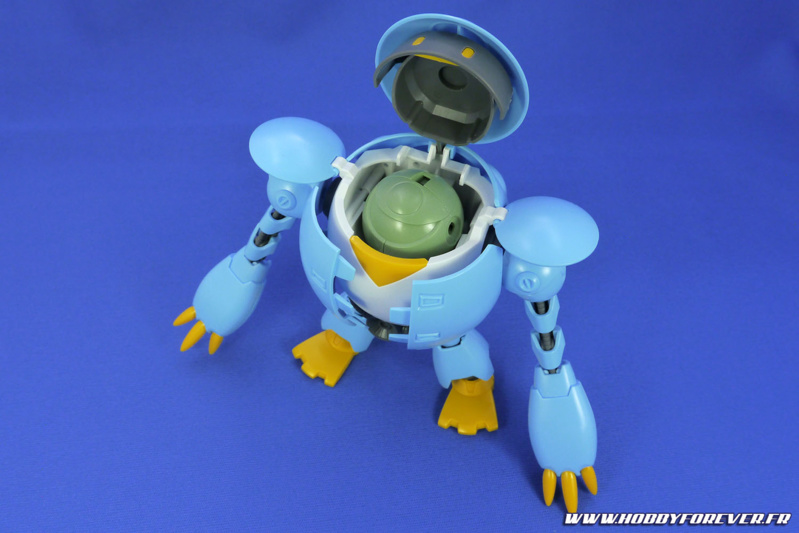 La tête s'ouvre pour laisser apparaître le Petitkapool La tête s'ouvre pour laisser apparaître le Petitkapool