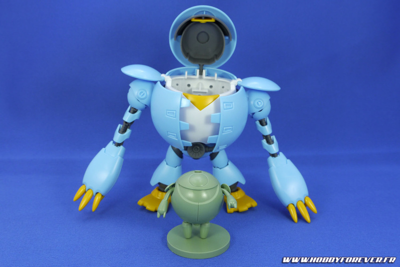 Un support est prévu pour présenter le Petitkapool Un support est prévu pour présenter le Petitkapool