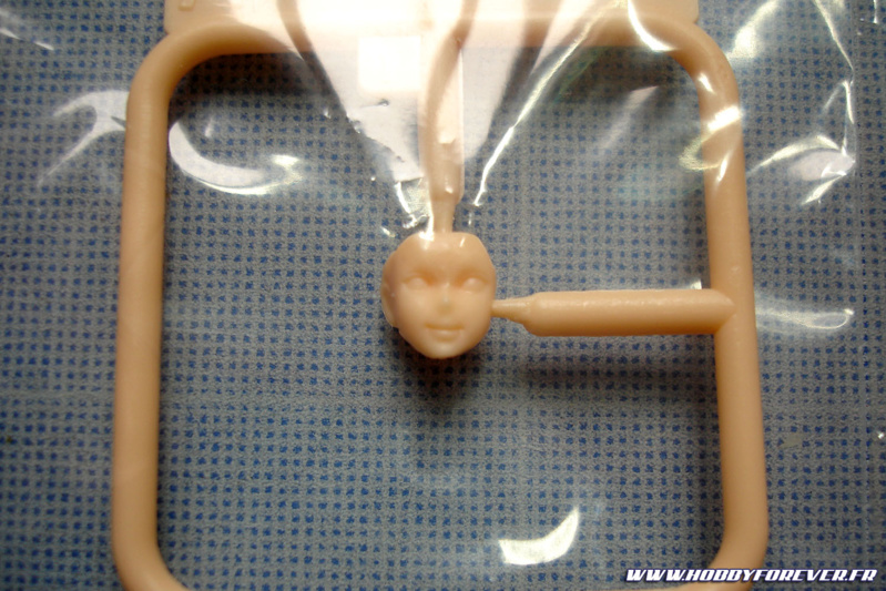 Le visage est très fin Le visage est très fin