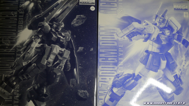 Deux de mes kits P-Bandai : le MG Gundam TR-1 Advanced Hazel et le MG GM Dominance