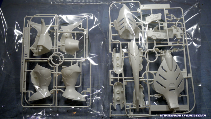 Grappes O (x2) et P Grappes O (x2) et P