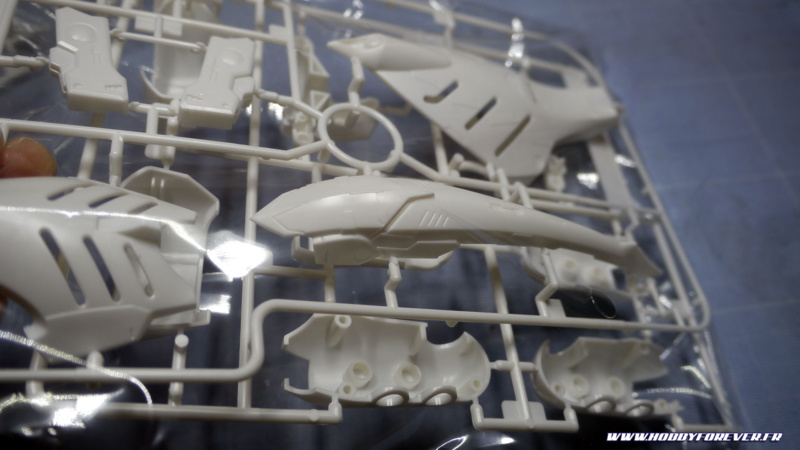 La tête, également sur la grappe P La tête, également sur la grappe P