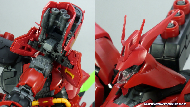 Vue sur l'intérieur des épaules et la tête ouverte Vue sur l'intérieur des épaules et la tête ouverte