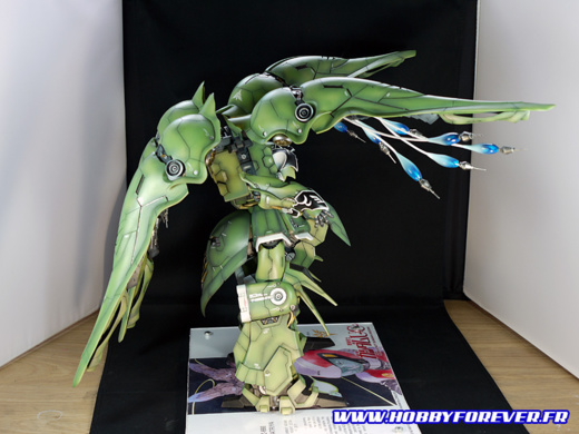 Vue de profil Vue de profil