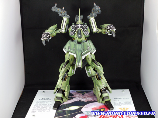 De face sans les ailes De face sans les ailes