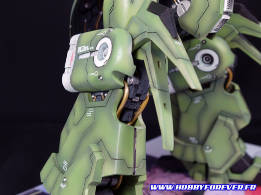 Le genou et ses réacteurs Le genou et ses réacteurs