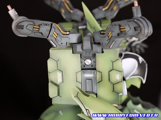 L'épaule et les supports des ailes L'épaule et les supports des ailes