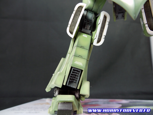 Vue sur l'arrière de la jambe Vue sur l'arrière de la jambe