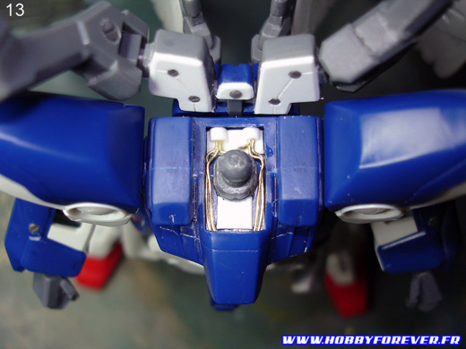 L'encolure L'encolure