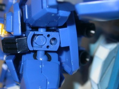 l'articulation des hanches l'articulation des hanches