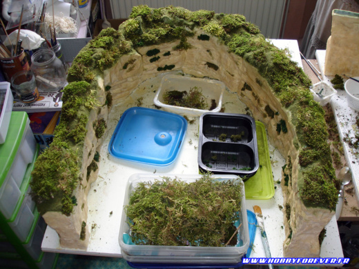 Les buissons sont en mousses naturelles séchées Les buissons sont en mousses naturelles séchées