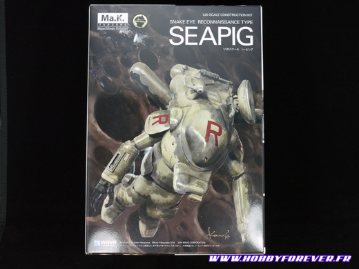 S.A.F.S. Snake-Eye Reconnaissance Type SEA PIG 1/20 - Review