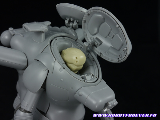 S.A.F.S. Snake-Eye Reconnaissance Type SEA PIG 1/20 - Review S.A.F.S. Snake-Eye Reconnaissance Type SEA PIG 1/20 - Review