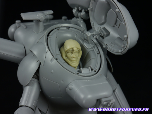S.A.F.S. Snake-Eye Reconnaissance Type SEA PIG 1/20 - Review S.A.F.S. Snake-Eye Reconnaissance Type SEA PIG 1/20 - Review