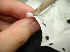 Essuyez le pinceau Essuyez le pinceau