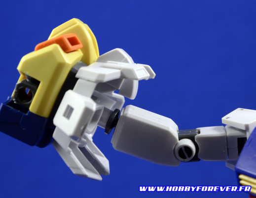 Review - SDBF Winning Gundam & Star Winning Gundam Review - SDBF Winning Gundam & Star Winning Gundam