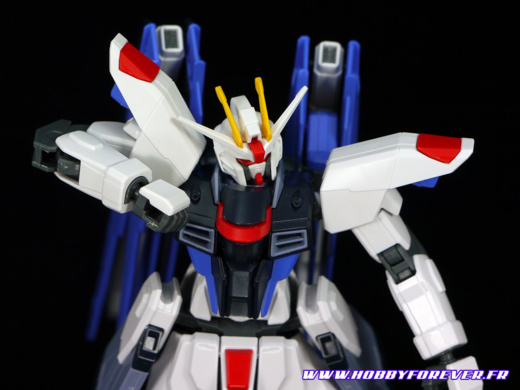 Review - HGCE Freedom Gundam REVIVE 1/144