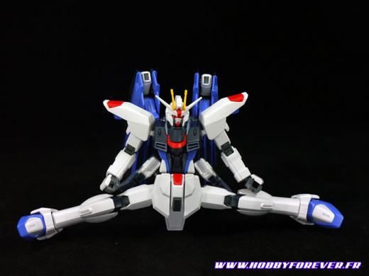 Review - HGCE Freedom Gundam REVIVE 1/144