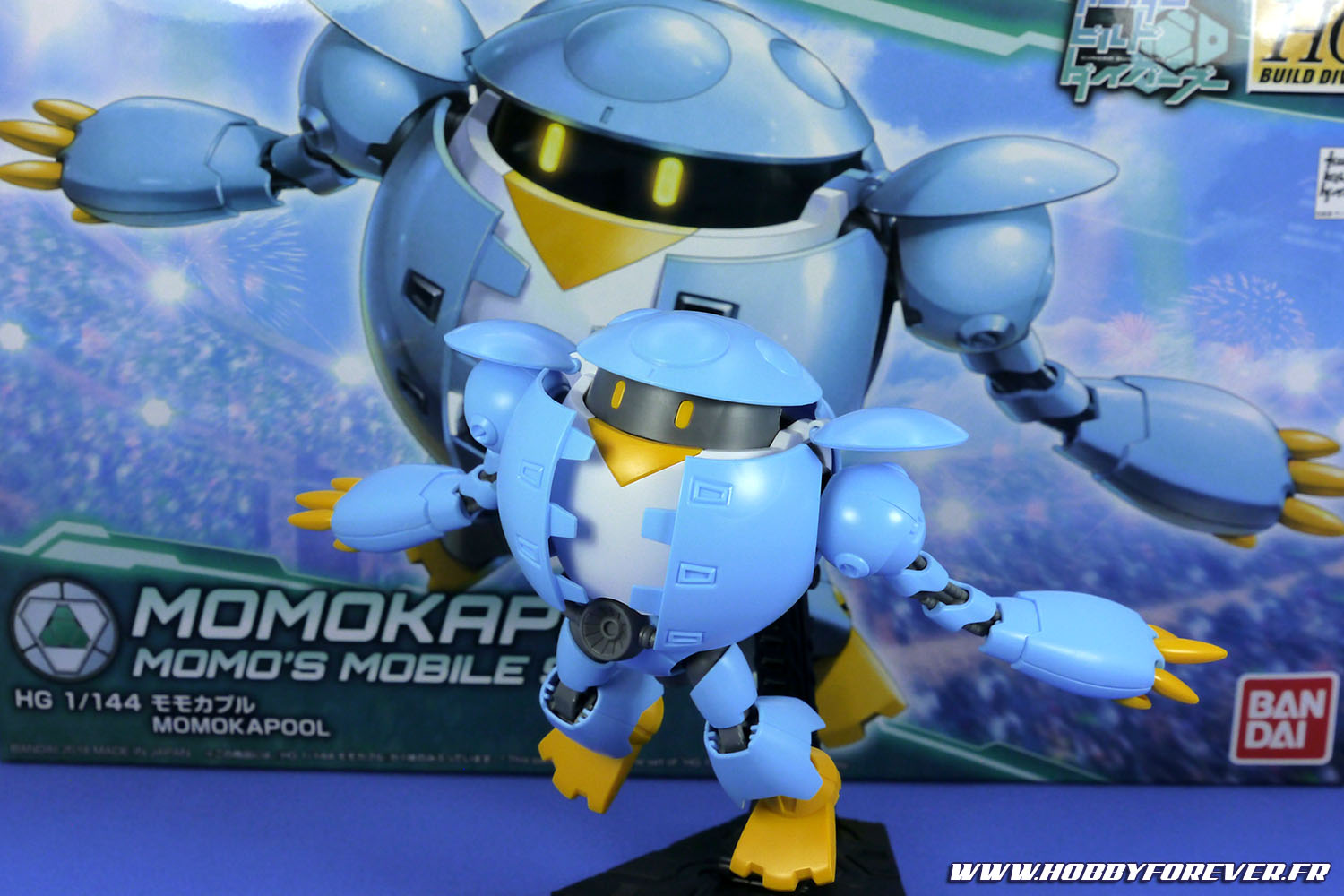 Review - HG Momokapool