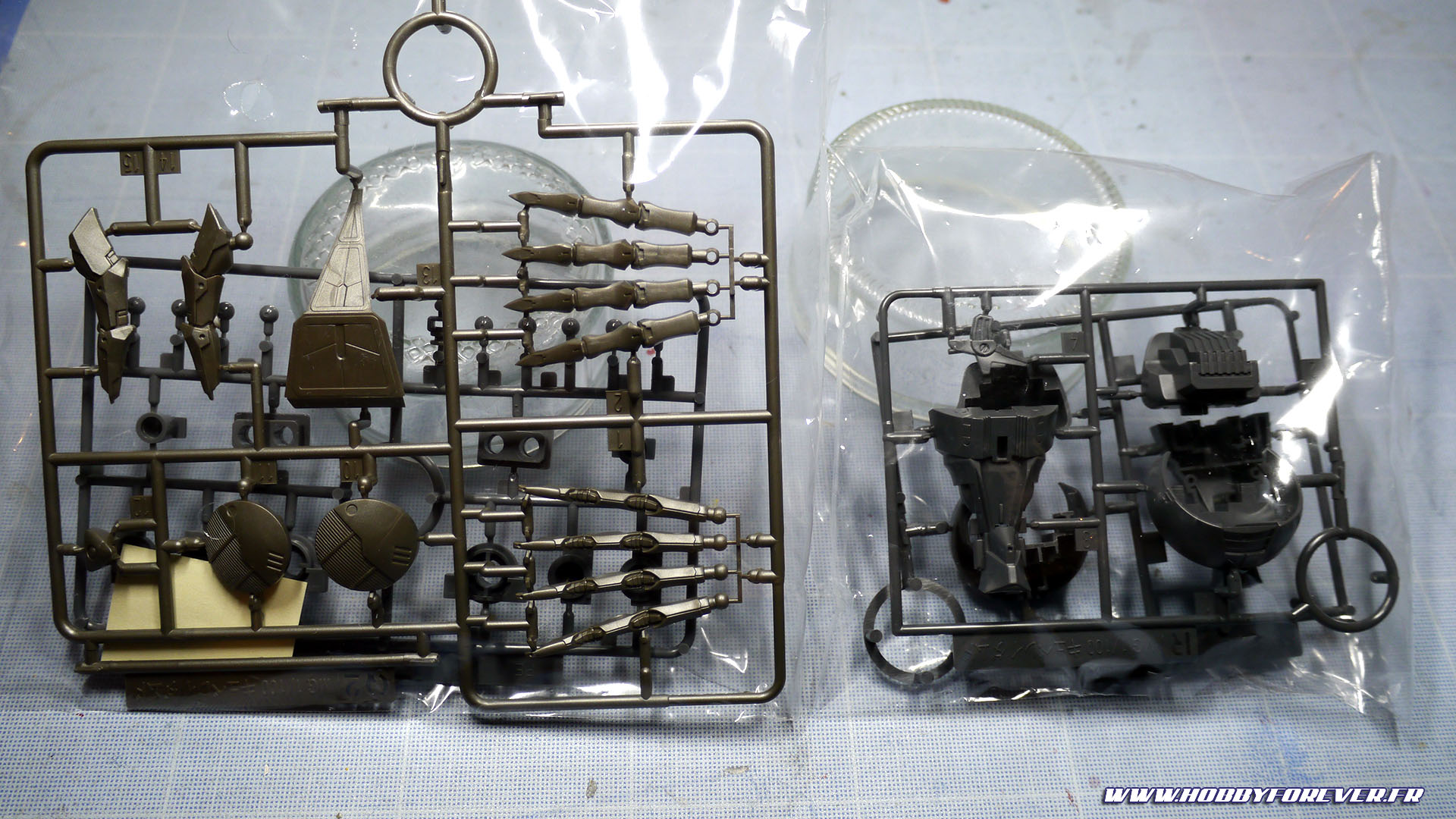 Grappes Q2 (et derrière la grappe de polycap K venant du MG Qubeley) et R (x2) Grappes Q2 (et derrière la grappe de polycap K venant du MG Qubeley) et R (x2)