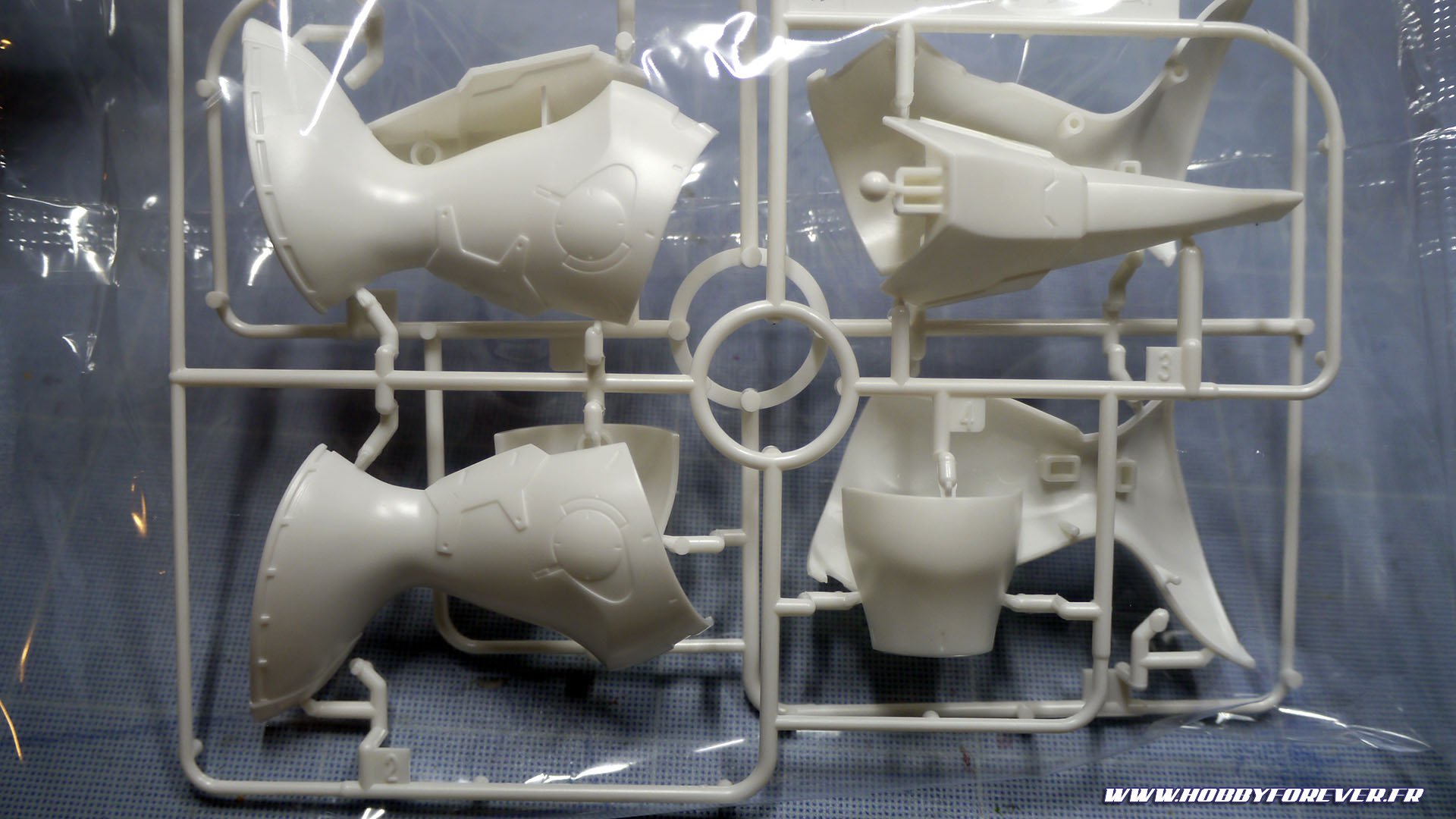 Grappe O avec la jambe et le pied Grappe O avec la jambe et le pied