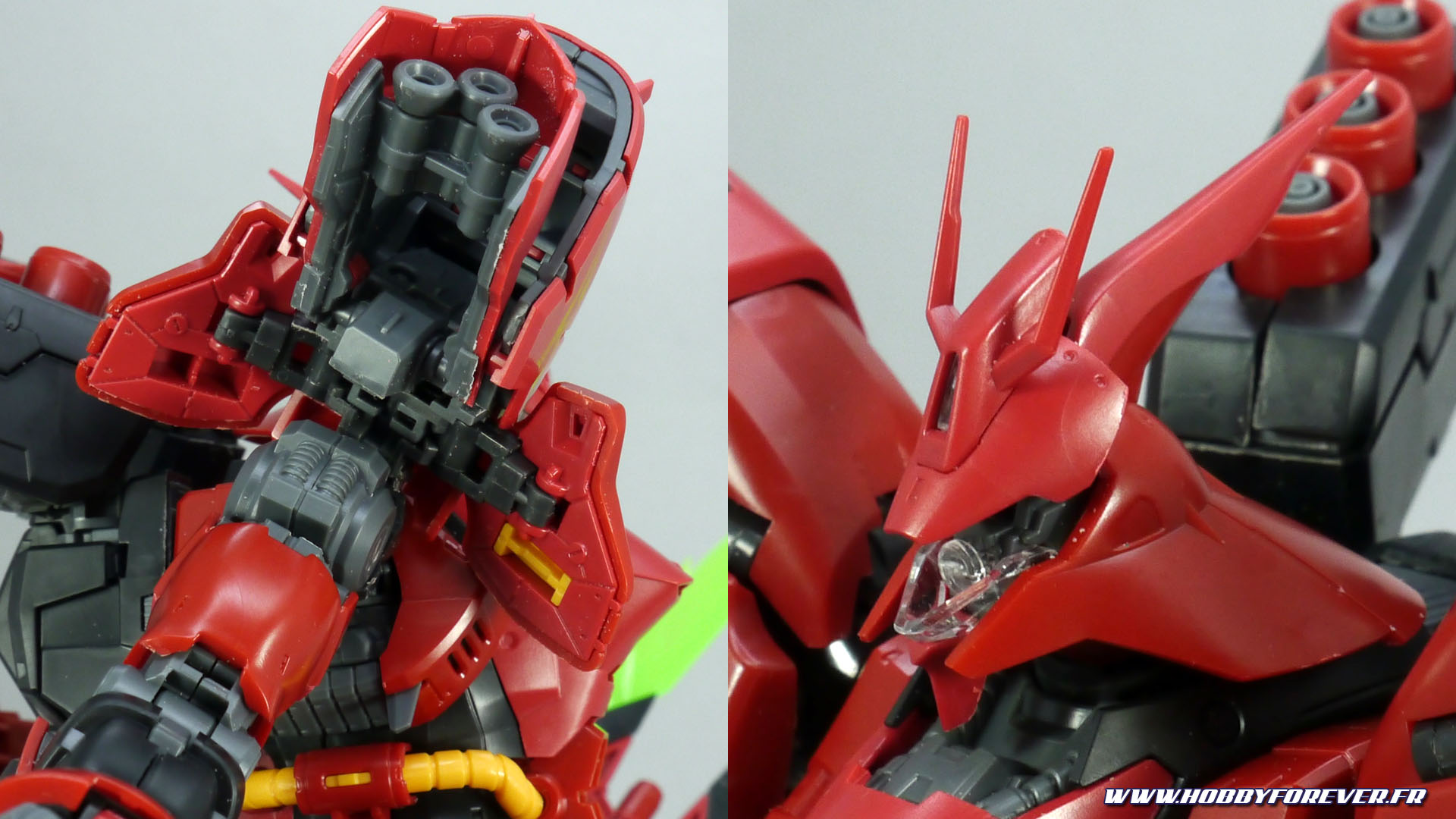 Vue sur l'intérieur des épaules et la tête ouverte Vue sur l'intérieur des épaules et la tête ouverte