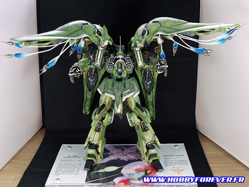 Le NZ-666 Kshatriya