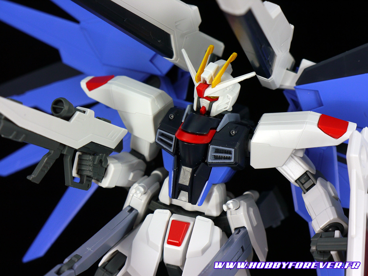 Review - HGCE Freedom Gundam REVIVE 1/144