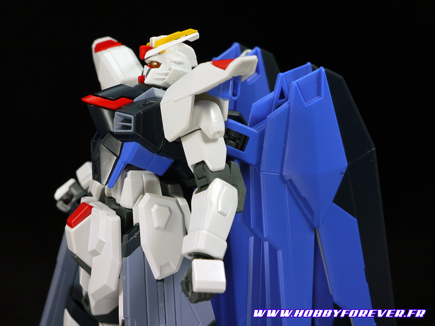 Review - HGCE Freedom Gundam REVIVE 1/144