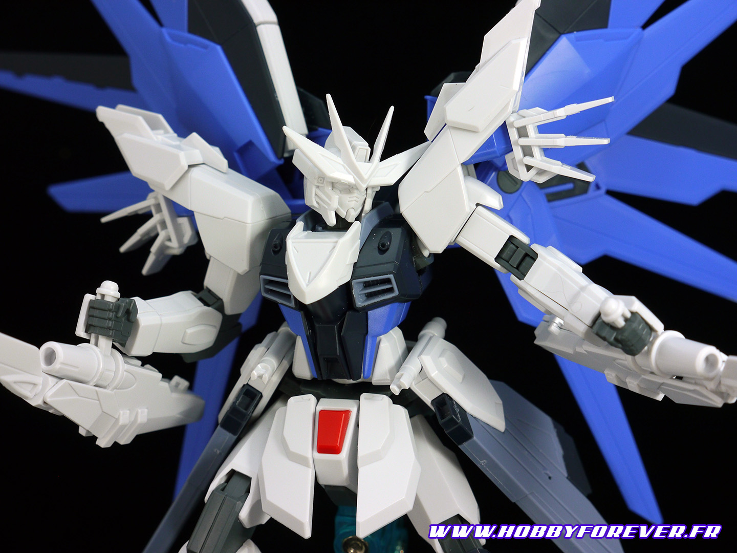 Review - HGCE Freedom Gundam REVIVE 1/144