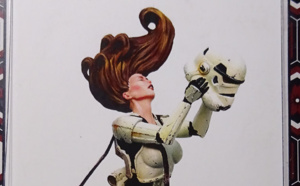 Star Vixen ou « Stormtrooper au féminin »