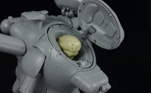 S.A.F.S. Snake-Eye Reconnaissance Type SEA PIG 1/20 - Review