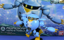 Review - HG Momokapool Review - HG Momokapool