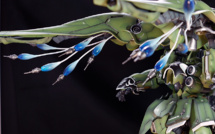 NZ-666 Kshatriya 1/100 NZ-666 Kshatriya 1/100